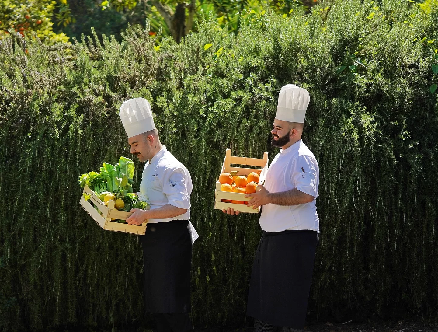 Orto Don Geppi Sorrento 2