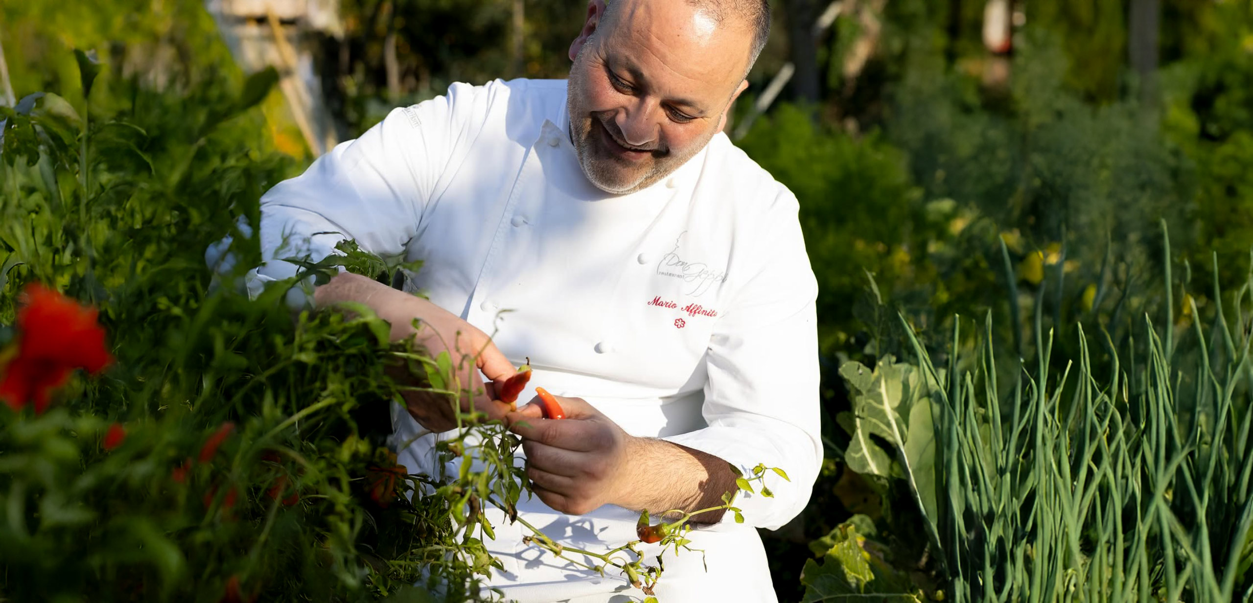 Orto Don Geppi Sorrento 3